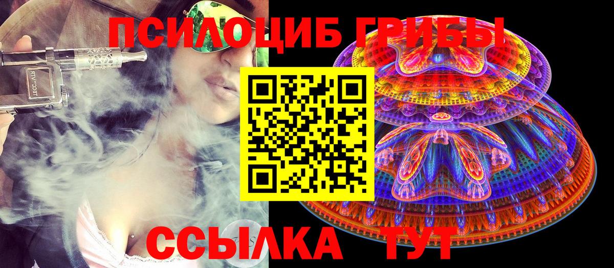 Псилоцибиновые грибы Magic Shrooms  Вход с VPN  Псилоцибиновые грибы Magic Shrooms  Мурино 