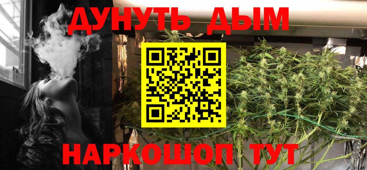 Каннабис план  Конопля сатива  Мурино  Вход с VPN  Каннабис White Widow  Бошки Шишки планчик 
